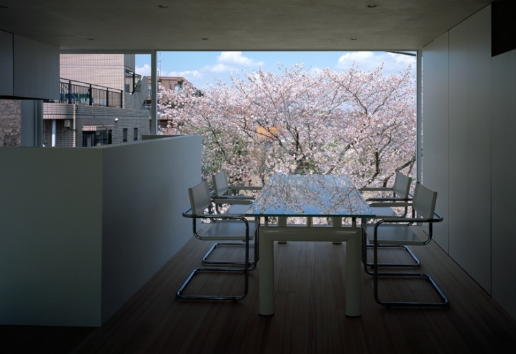Cherry Blossom Tree House 