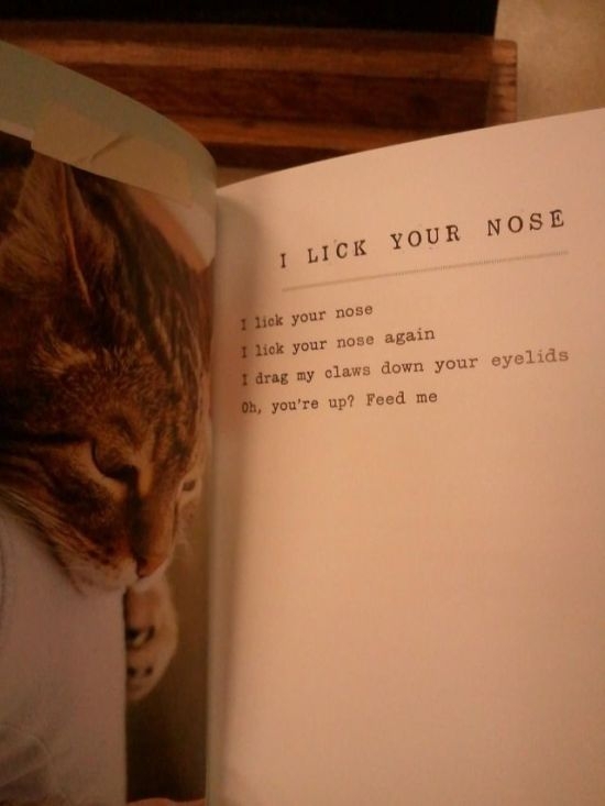Poems by Cats 