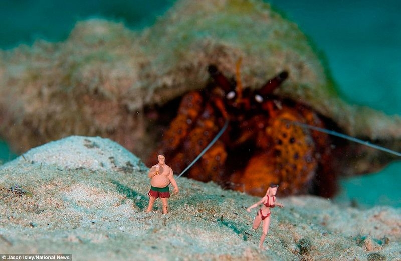 Underwater Miniatures Make for Hilariously Creative Scenes