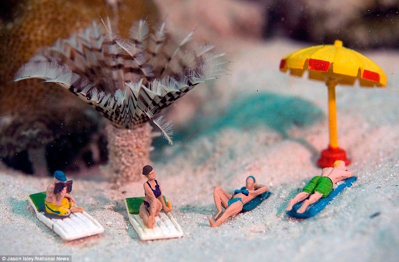 Underwater Miniatures Make for Hilariously Creative Scenes