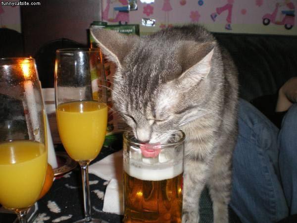 Ugh, I Need a Drink!