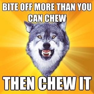 Best of Courage Wolf
