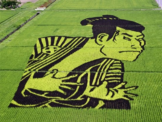 Japanese Farmers Create Fields Of Unbelievable Art