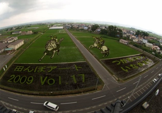 Japanese Farmers Create Fields Of Unbelievable Art