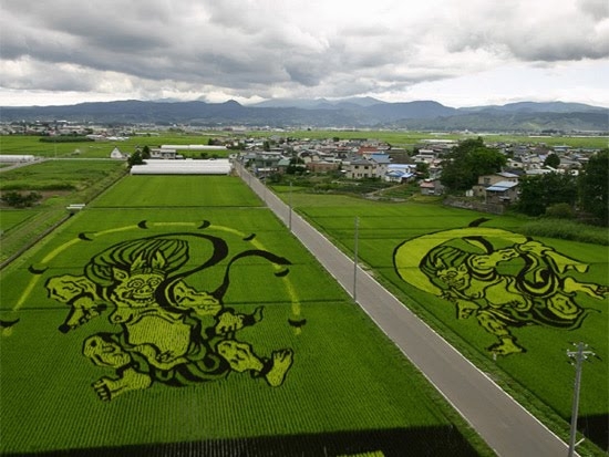 Japanese Farmers Create Fields Of Unbelievable Art