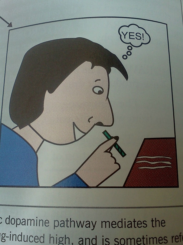 Hilarious Things You Can Find in Textbooks 