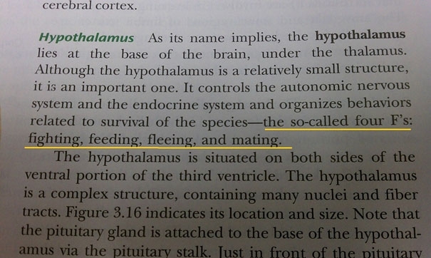 Hilarious Things You Can Find in Textbooks 