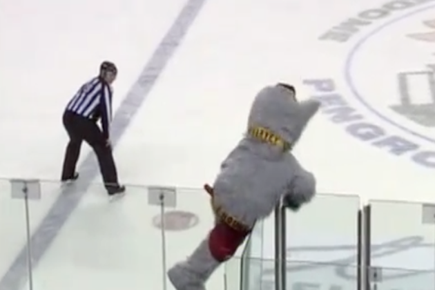 Painfully Hilarious Mascot Fails