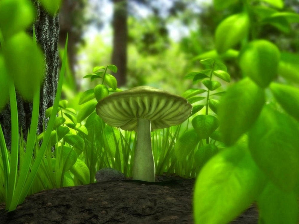 Breathtaking 3D HD Nature Wallpaper!