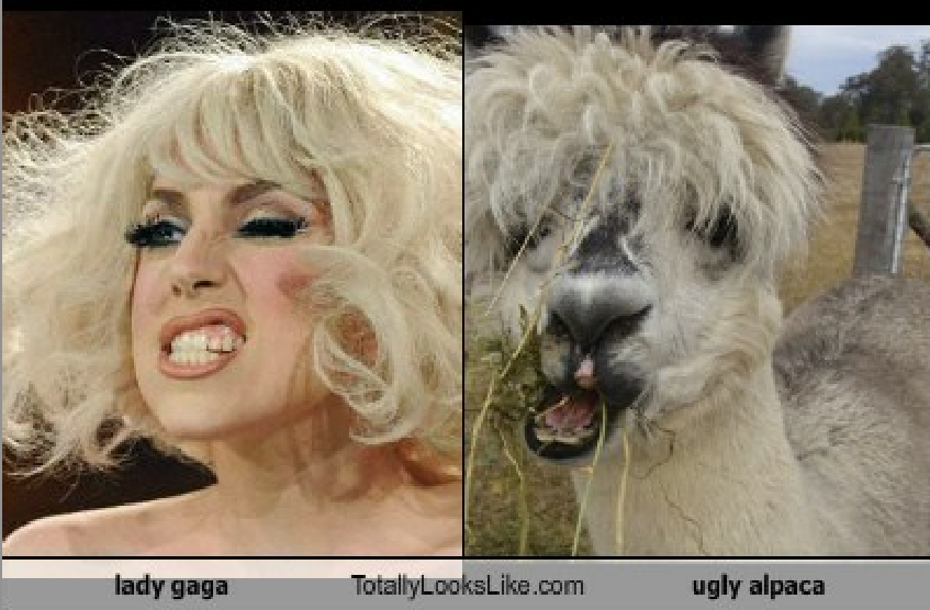 Gaga's Ugly Pics - Somebody Had to Do It