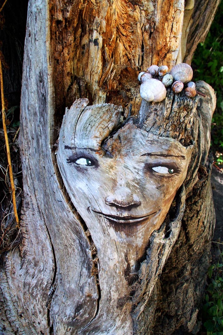 Expressive Faces Emerge From Rotting Tree Trunks 