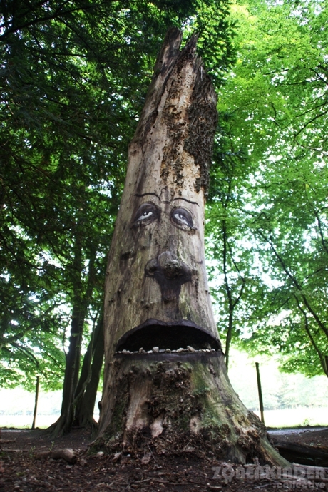 Expressive Faces Emerge From Rotting Tree Trunks 