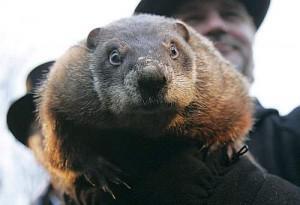 Groundhog Day: Is It Realistic?