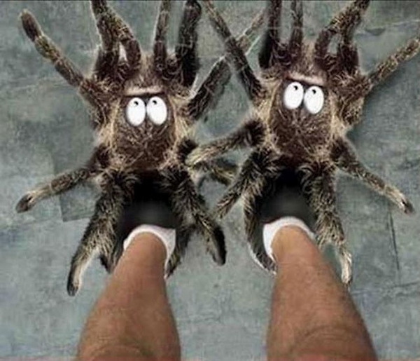 Cool Crazy Slippers!