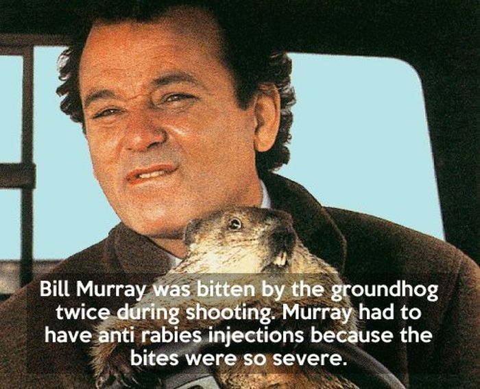 Interesting Groundhog Day Facts 