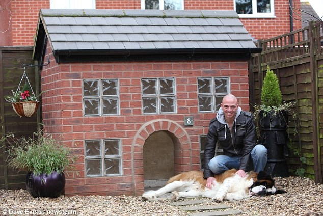A Cool House For a Dog