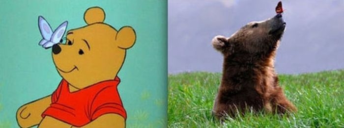Animals. Animation vs Real Life 