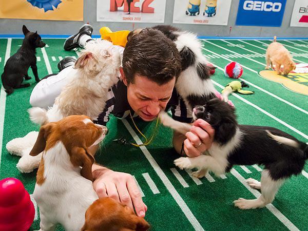 Puppy Super Bowl  :)