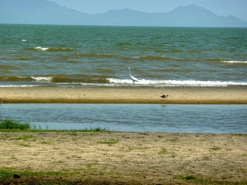 Lake Turkana, World’s Largest Desert Lake