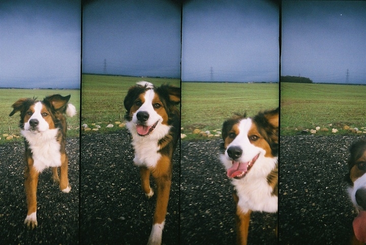 Capturing Simple Moments of Life in Four Frames 