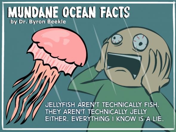 Amazing Ocean Facts