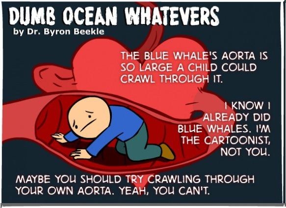 Amazing Ocean Facts