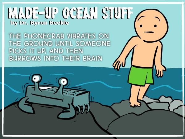 Amazing Ocean Facts