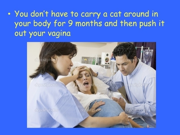 Why Cats Are Better Than Babies