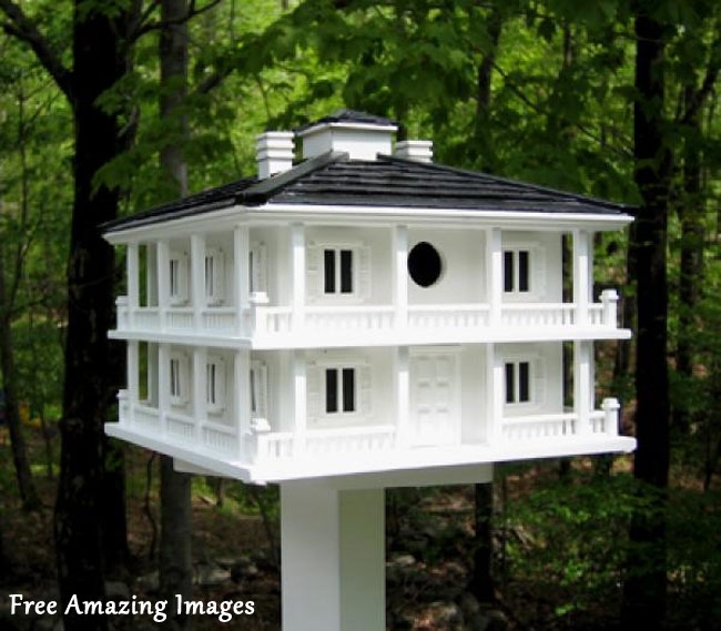Unique Creative Bird Houses.