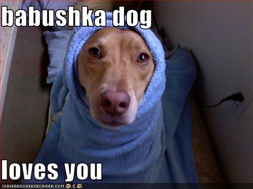 Babushka Dogs