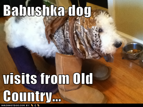 Babushka Dogs