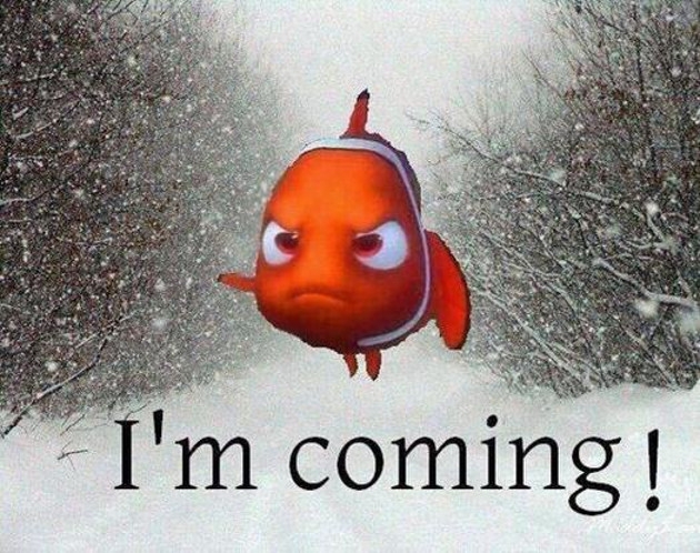 The Best Nemo Blizzard Memes (and GIFs!)