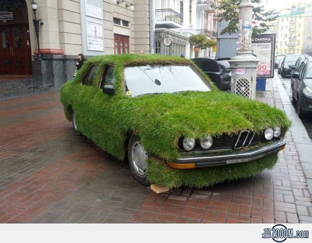 What's Up With These Grass-Covered Cars?!
