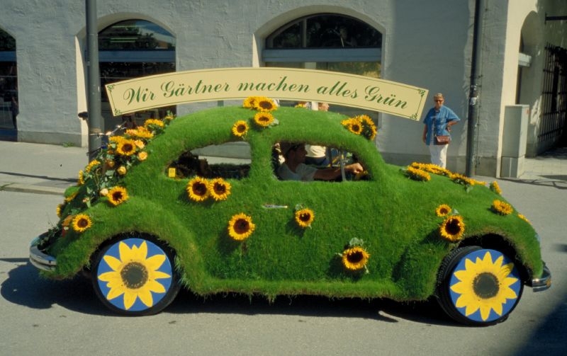 What's Up With These Grass-Covered Cars?!