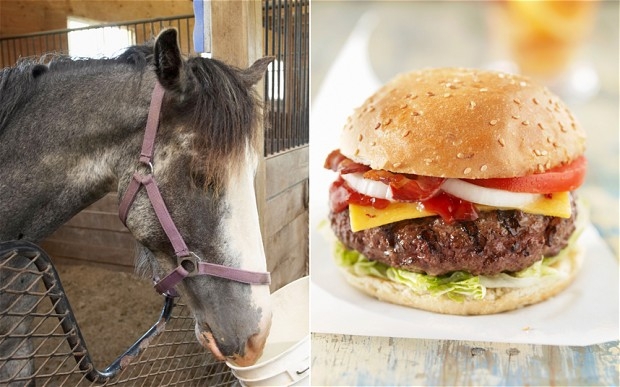 HORSE MEAT Found In Beef All Over Europe!? Everyone Is Outraged.