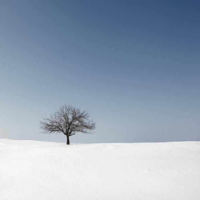 Inspiration from Andrey Belkov's Minimalistic Winter Photography 