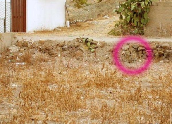 Can You See The Cat? 