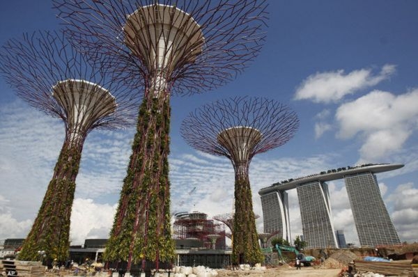 Super-Trees Of Singapore
