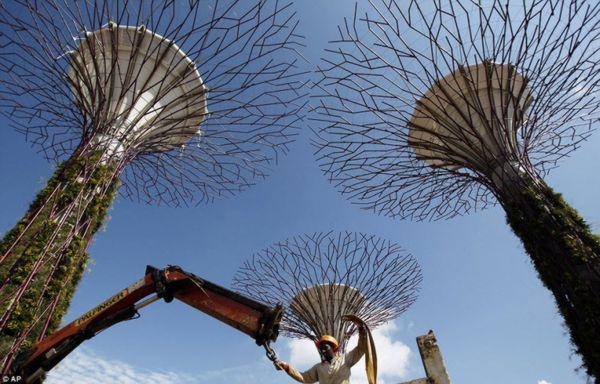 Super-Trees Of Singapore