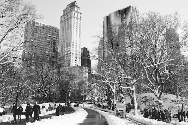 Beautiful Black and Photos of Central Park After the Blizzard