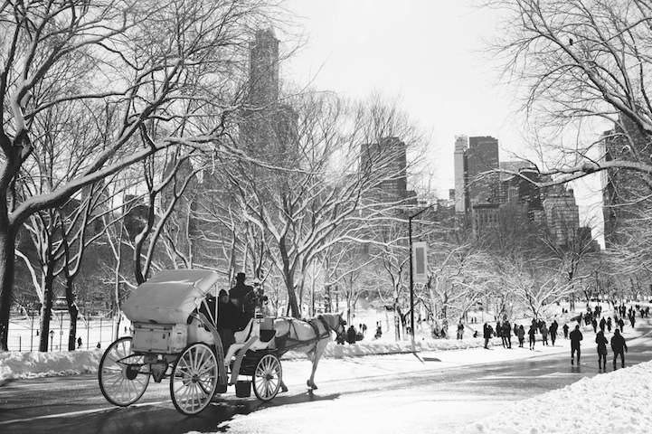 Beautiful Black and Photos of Central Park After the Blizzard