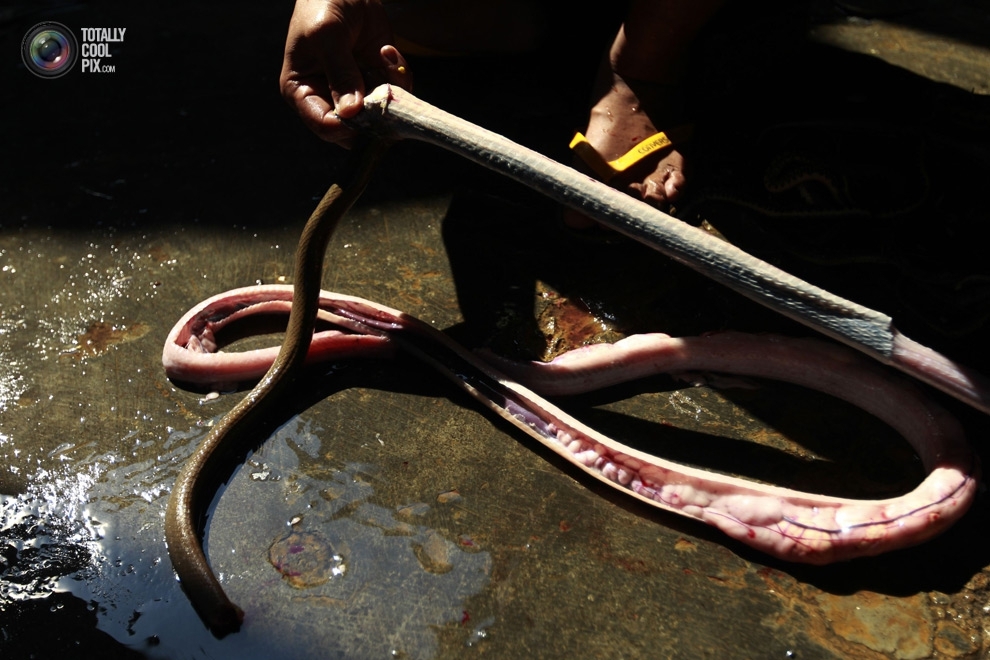 How Snakeskin Handbags Are Made