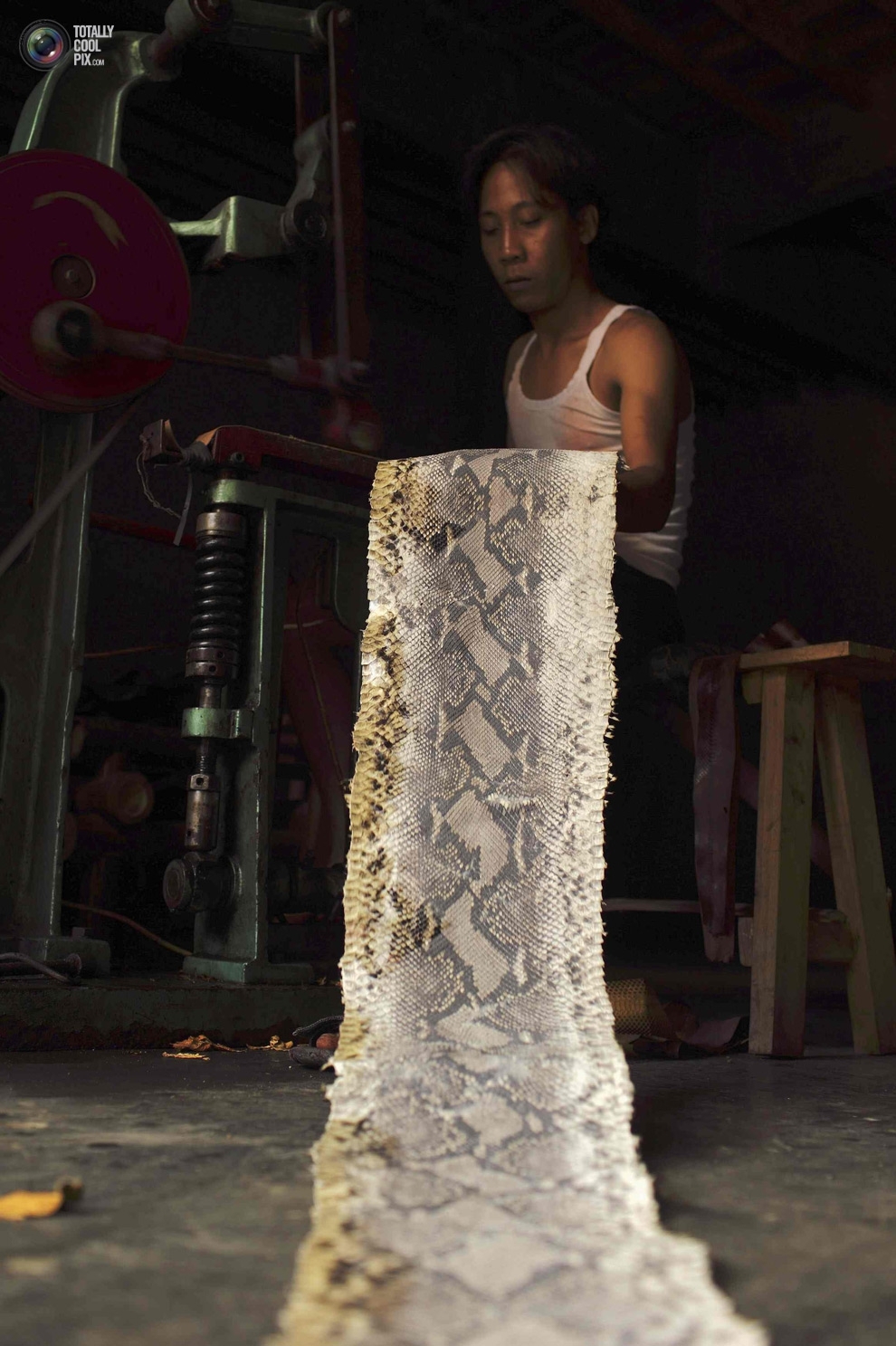 How Snakeskin Handbags Are Made