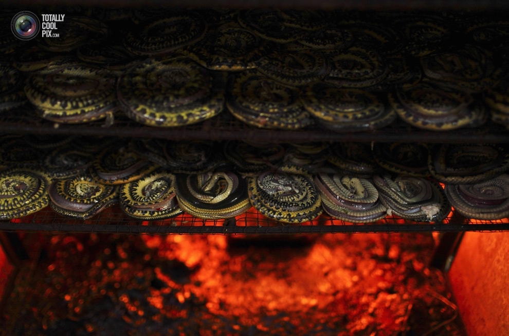 How Snakeskin Handbags Are Made