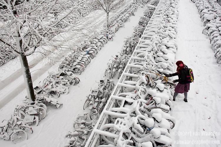 Bikes Left Out in Blizzard