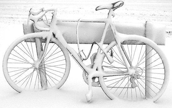 Bikes Left Out in Blizzard