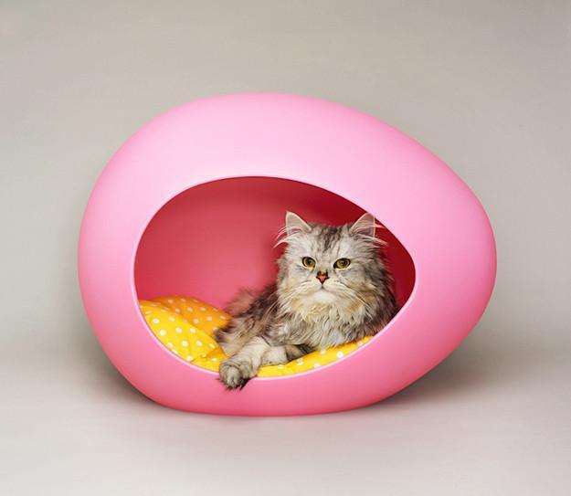 Treat Your Pet with a Nice Pod for This Valentine!