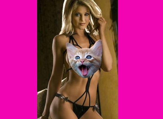 Sexy Lingerie for Valentine's Day, Censored by Kittens 