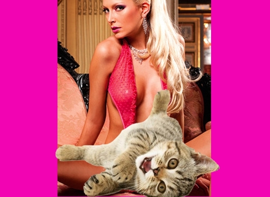 Sexy Lingerie for Valentine's Day, Censored by Kittens 