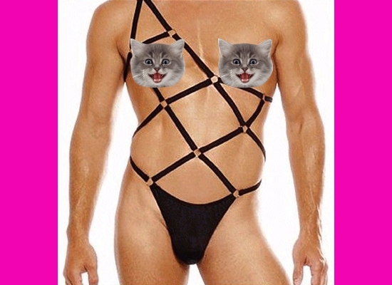 Sexy Lingerie for Valentine's Day, Censored by Kittens 